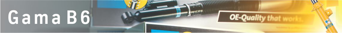 BILSTEIN B6