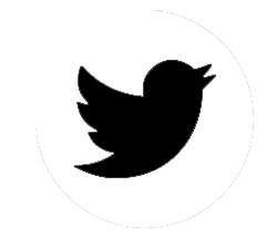 twitter bilstein